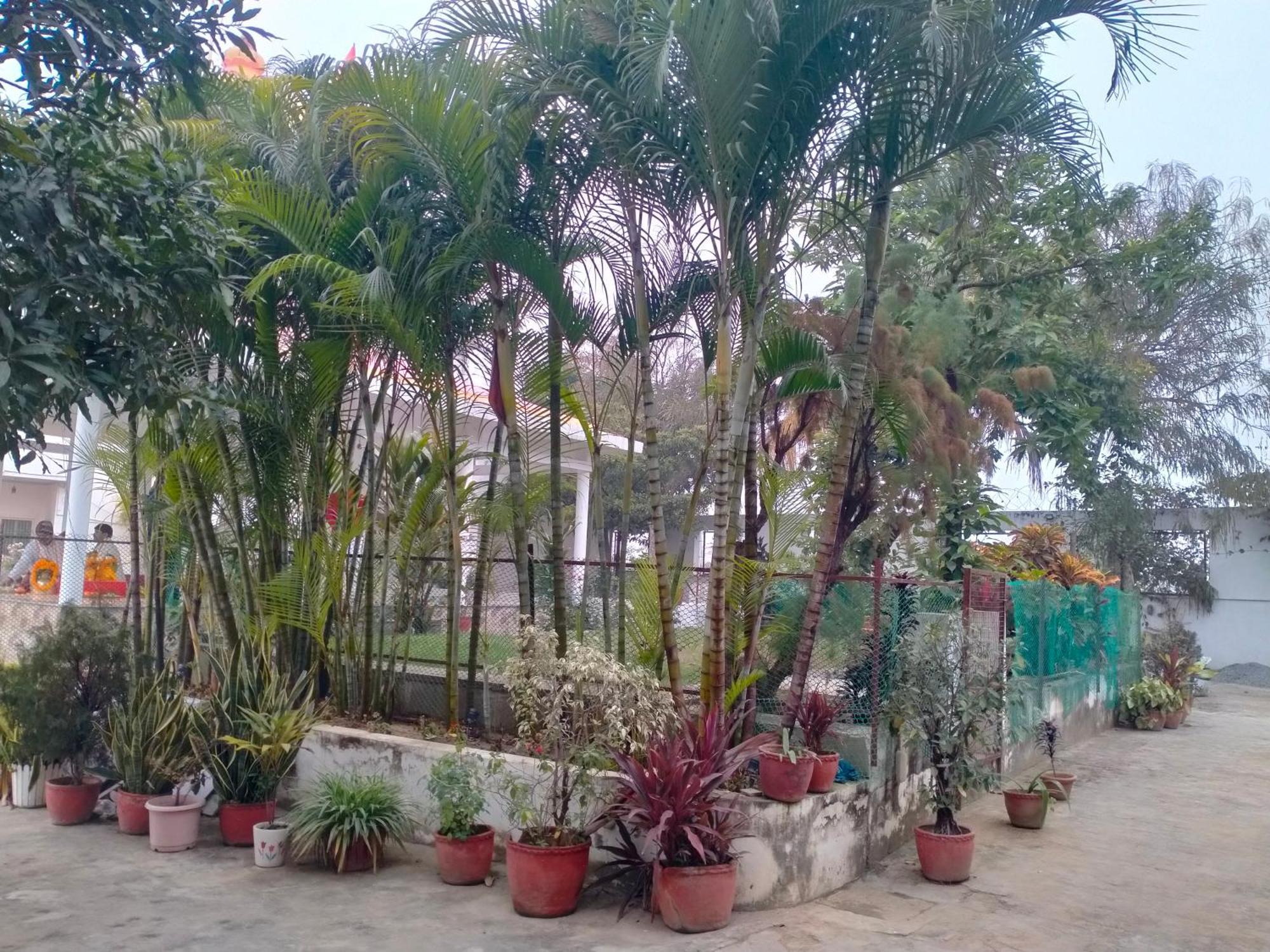 Vedic Villa Bénarès Extérieur photo